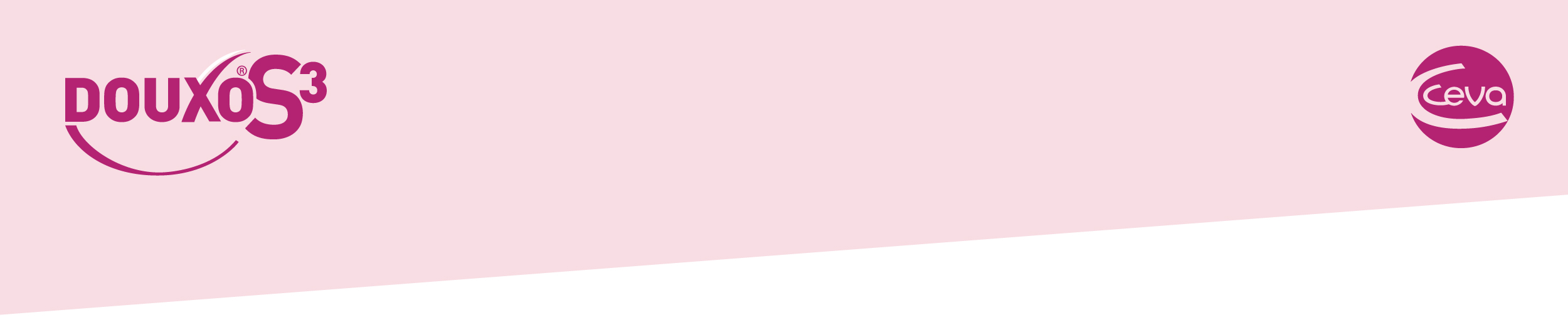 ESVD 25 – Doc site designs_Plan de travail 1 copie ESVD 25 - Doc site designs_Plan de travail 1 copie