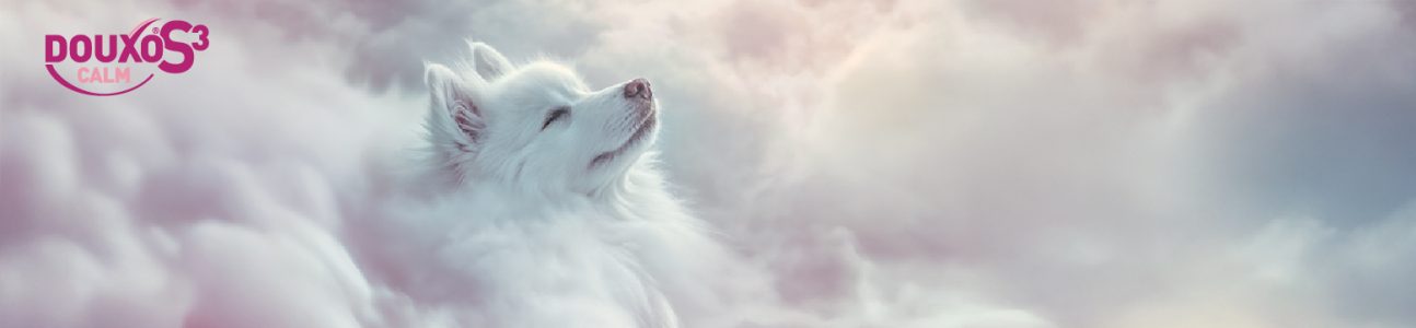 ESVD 25 - Doc site designs