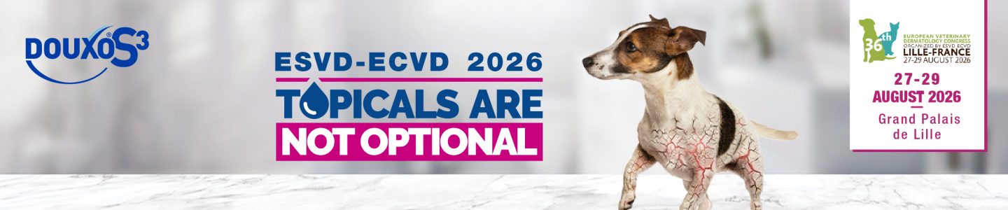 ESVD 26 - game banner